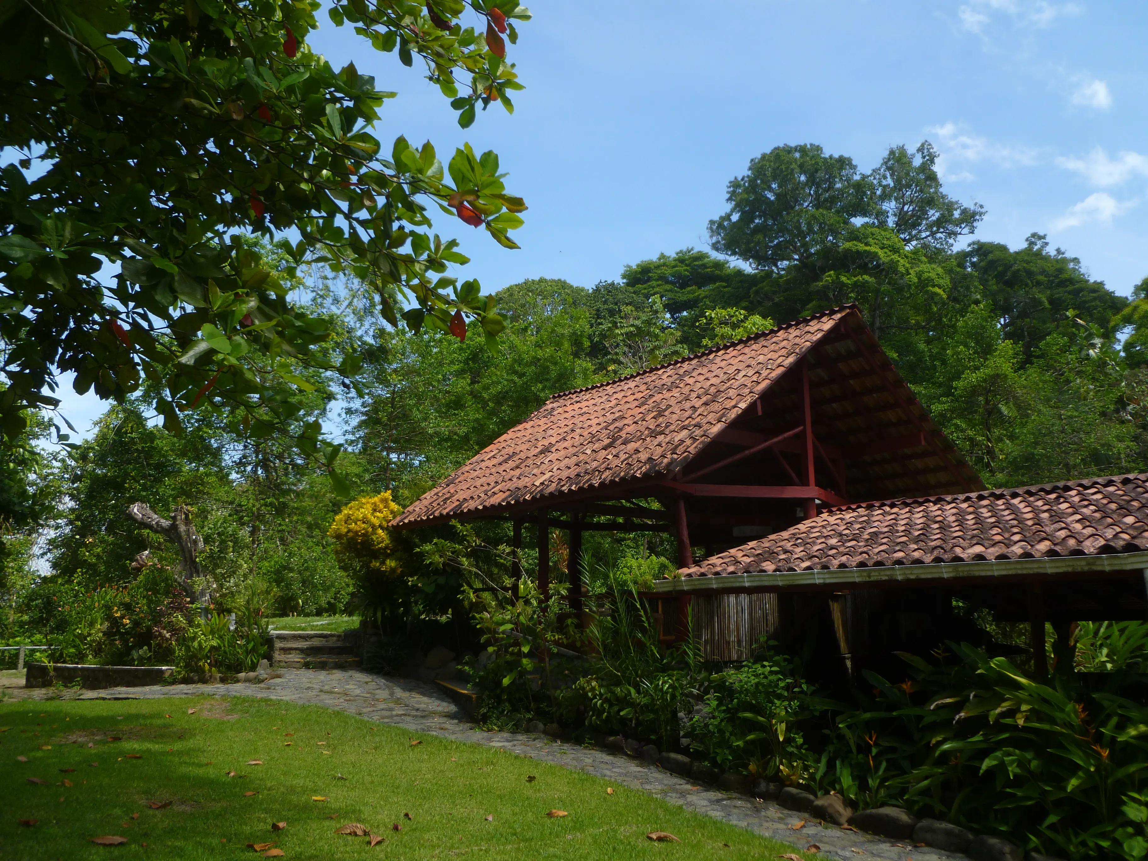 Organic Orchard and Farm