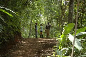 Hiking trails at Tiskita