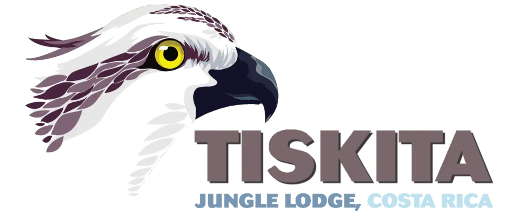 Tiskita Logo