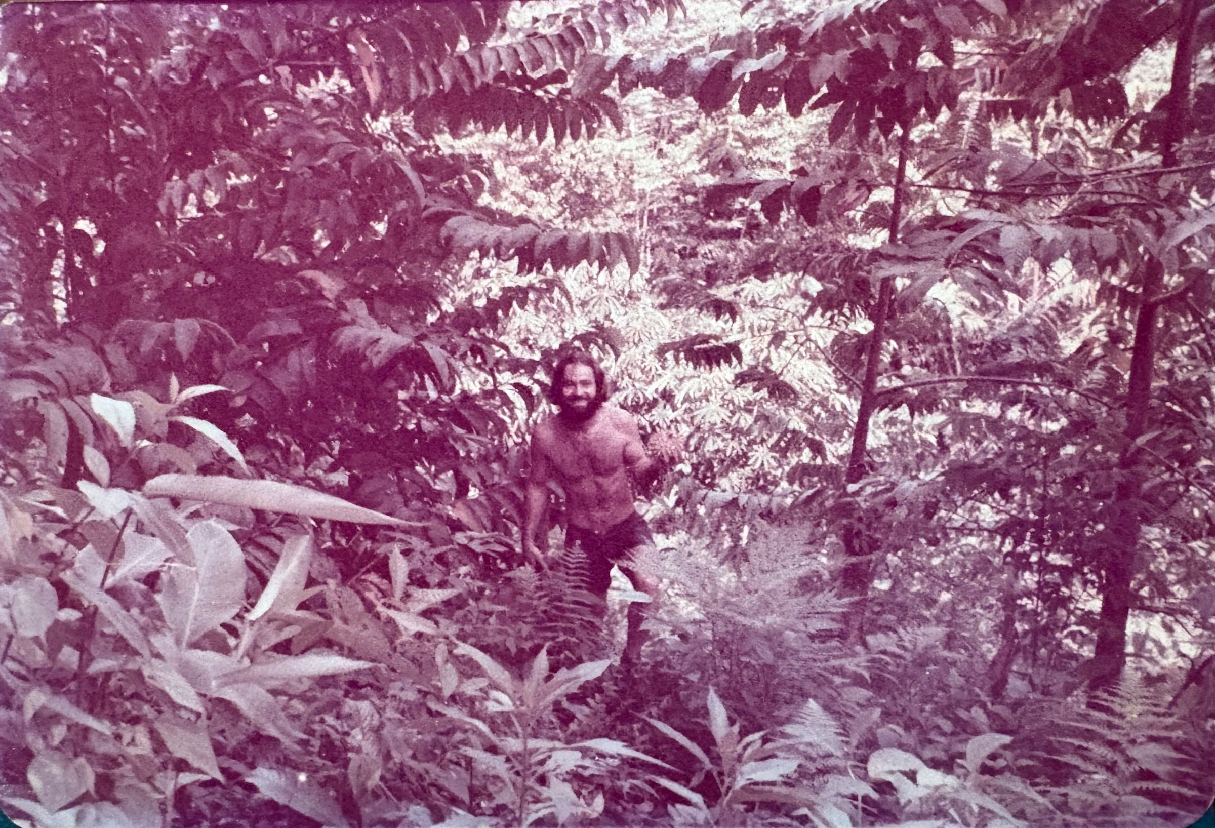 Peter Aspinall walking through the young fruit orchard at Tiskita beside a Rollinia tree